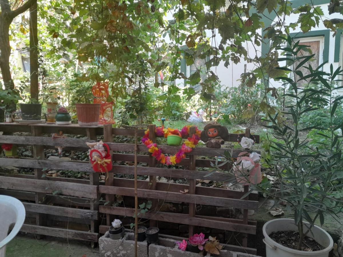 スコピエ Adem'S Cozy Terrace Retreat Bed & Breakfast エクステリア 写真