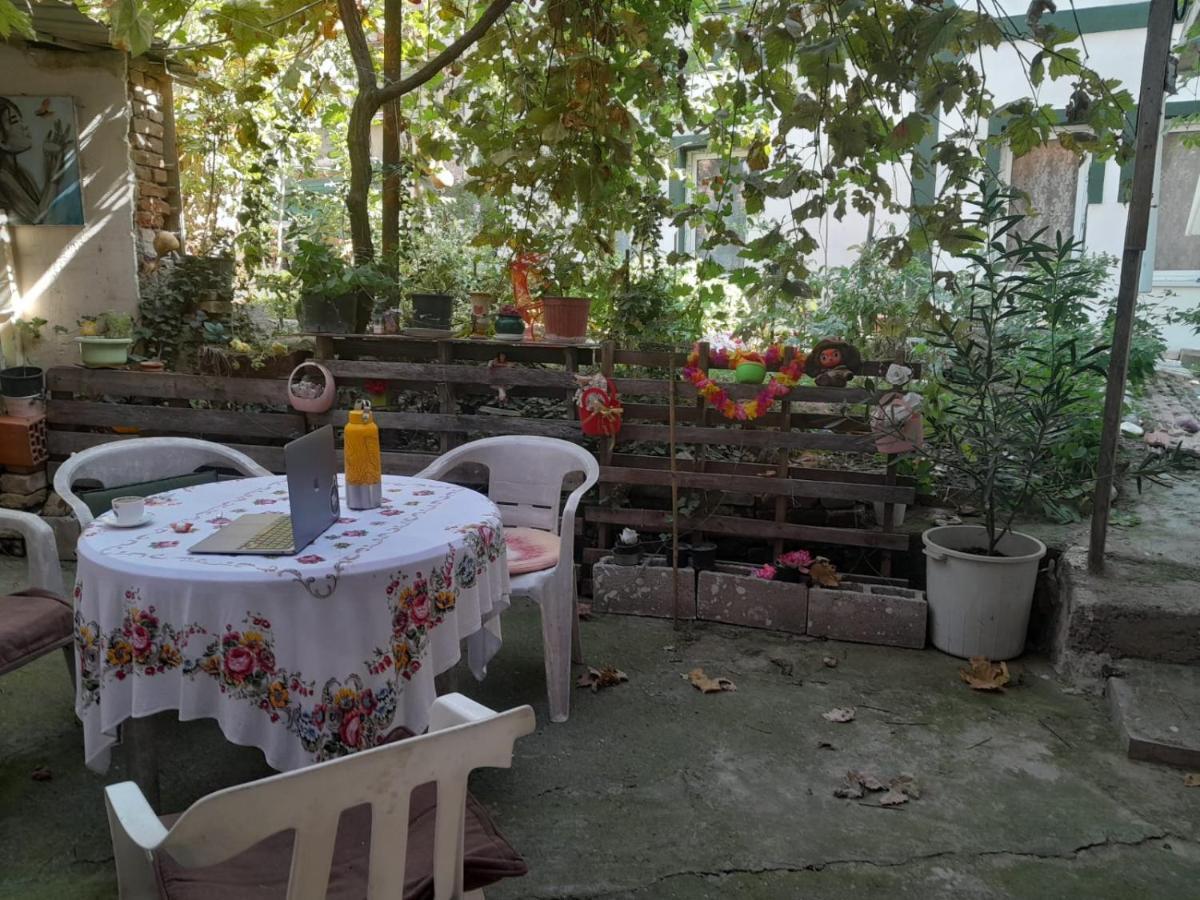 スコピエ Adem'S Cozy Terrace Retreat Bed & Breakfast エクステリア 写真