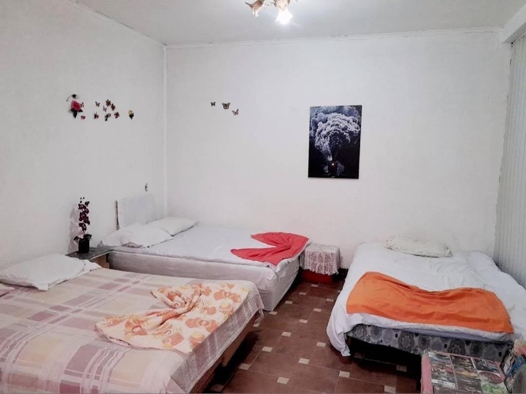 スコピエ Adem'S Cozy Terrace Retreat Bed & Breakfast エクステリア 写真